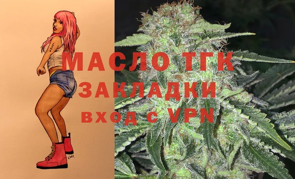 мет Ладушкин